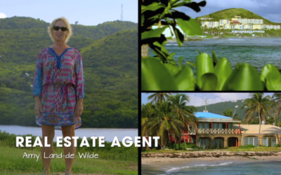 Waterfront House Hunting on St. Croix