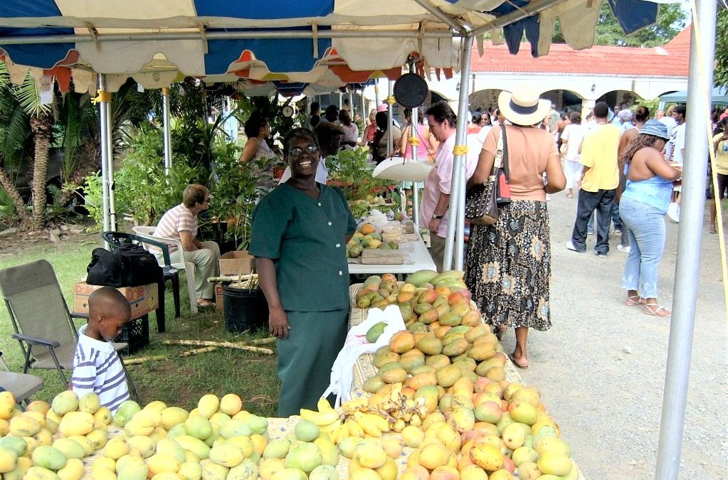 St. Croix’s Mango Melee is a Sweet Treat for All!