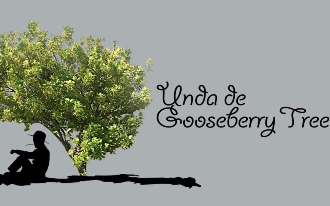 Unda de Gooseberry Tree – St. Croix’s Newest Christiansted Restaurant