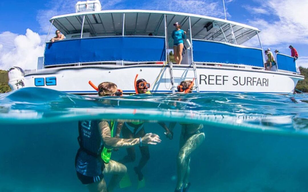 Dive into Adventure with Ocean Surfari