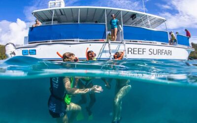 Dive into Adventure with Ocean Surfari